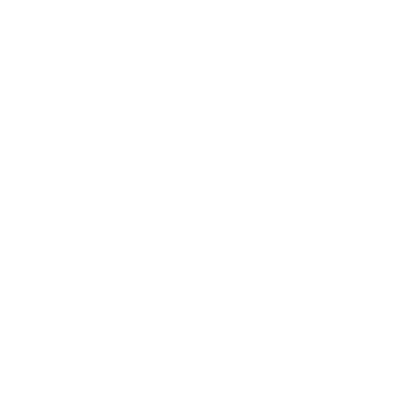 Indus2